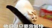 网红画表情,趣味横生的网络文化现象